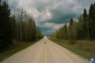 Photo by Pieter